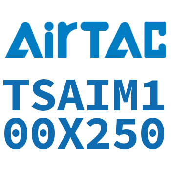 Airtac 带导向架气缸-TSAIM100X250