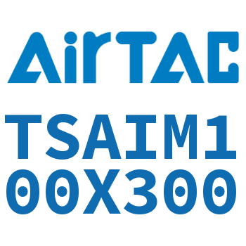 Airtac 带导向架气缸-TSAIM100X300