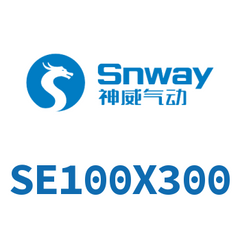 Airtac SE100 Standard Air Cylinder SE100X300 — view 5