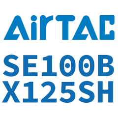 Airtac SE100 Standard Air Cylinder SE100BX125SH — view 5