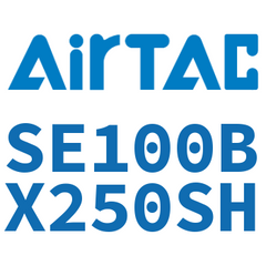 Airtac SE100 Standard Air Cylinder SE100BX250SH — view 5