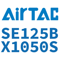 Airtac SE125 Standard Cylinder SE125BX1050S — view 5
