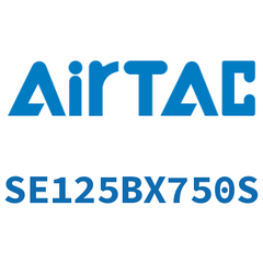 Airtac SE125 Standard Cylinder SE125BX750S — view 5