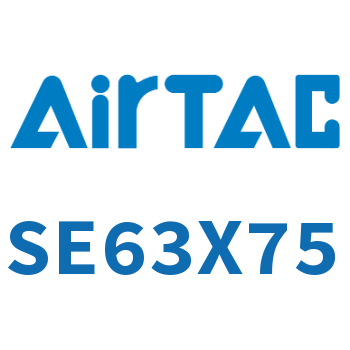 Airtac 标准气缸-SE63X75