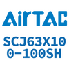 Airtac AIRTAC SCJ63 Standard Cylinder SCJ63X100-100SH