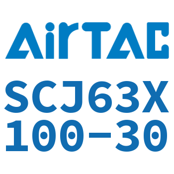 Airtac SCJ63 Standard Cylinder SCJ63X100-30