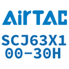 Airtac AIRTAC SCJ63 Standard Cylinder SCJ63X100-30H