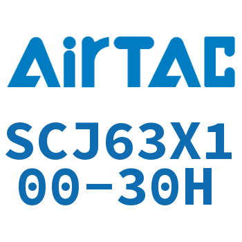 Airtac SCJ63 Standard Cylinder SCJ63X100-30H